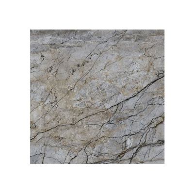 Grès rectifié brilllant CP06 LUC SQ 80X80X0,9 cm