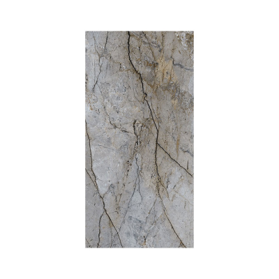 Grès rectifié brillant CP06 LUC SQ 80X160X0,9 cm