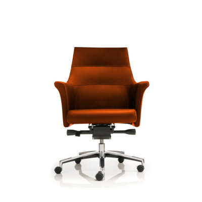 Fauteuil visiteur HARMONIA Marron