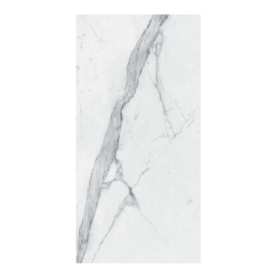 Grès rectifié brillant CP01 LUC SQ 120X240X0,9 cm